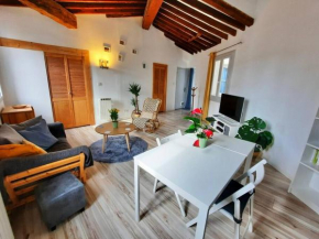 Hidden Gem in Historic Center Ecusson
